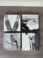 Miniatyrgalleribilde