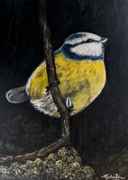 Miniatyrgalleribilde