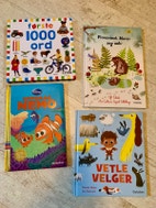 Miniatyrgalleribilde