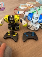 Miniatyrgalleribilde