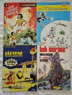 Miniatyrgalleribilde