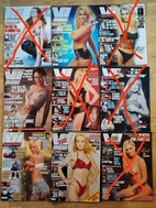 Miniatyrgalleribilde