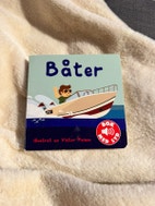 Miniatyrgalleribilde