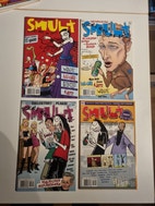 Miniatyrgalleribilde