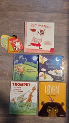 Miniatyrgalleribilde