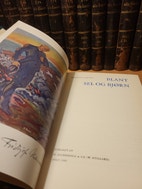 Miniatyrgalleribilde