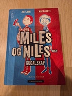 Miniatyrgalleribilde