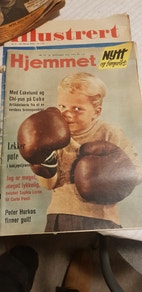 Miniatyrgalleribilde