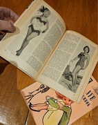 Miniatyrgalleribilde