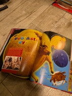 Miniatyrgalleribilde