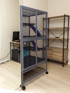 Miniatyrgalleribilde