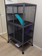 Miniatyrgalleribilde