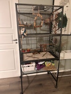 Miniatyrgalleribilde