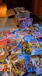 Miniatyrgalleribilde