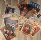 Miniatyrgalleribilde