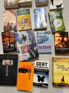 Miniatyrgalleribilde