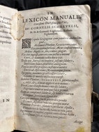 Miniatyrgalleribilde