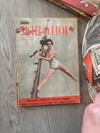 Miniatyrgalleribilde