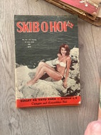 Miniatyrgalleribilde