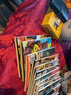 Miniatyrgalleribilde