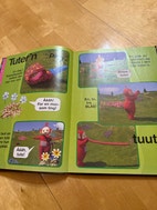 Miniatyrgalleribilde