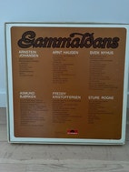 Miniatyrgalleribilde