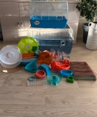 Miniatyrgalleribilde