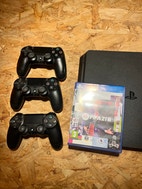 Miniatyrgalleribilde