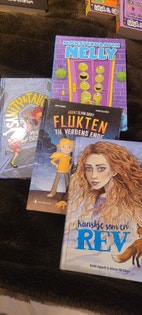 Miniatyrgalleribilde