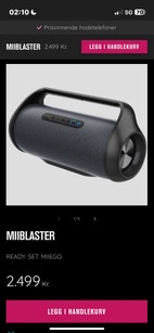 Miniatyrgalleribilde