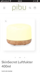 Miniatyrgalleribilde