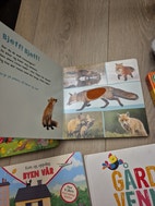 Miniatyrgalleribilde