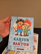 Miniatyrgalleribilde