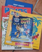 Miniatyrgalleribilde