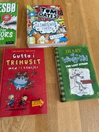 Miniatyrgalleribilde