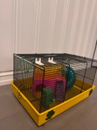 Miniatyrgalleribilde