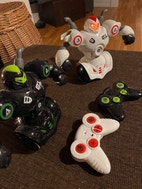 Miniatyrgalleribilde