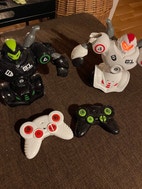 Miniatyrgalleribilde