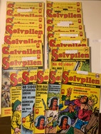 Miniatyrgalleribilde