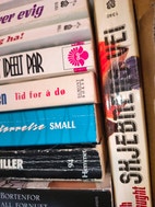 Miniatyrgalleribilde