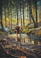 Miniatyrgalleribilde