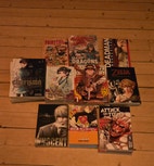 Miniatyrgalleribilde