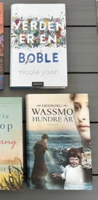 Miniatyrgalleribilde