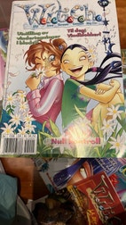 Miniatyrgalleribilde