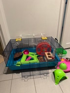 Miniatyrgalleribilde