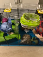 Miniatyrgalleribilde