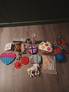 Miniatyrgalleribilde