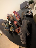 Miniatyrgalleribilde