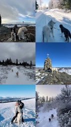 Miniatyrgalleribilde