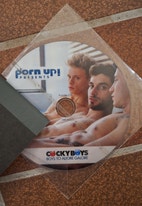 Miniatyrgalleribilde